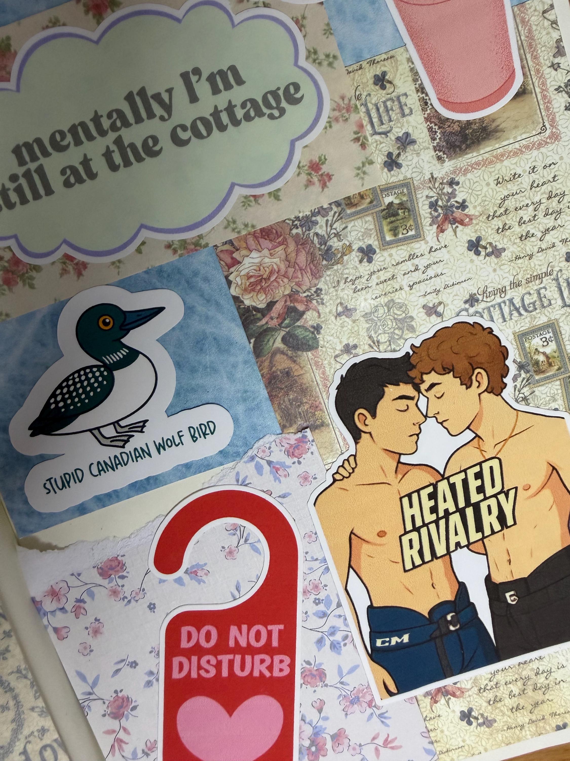 Heated Rivalry Sticker Bundle | Cottagecore Mystery Pack | Spicy Stickers | 15-Piece Journal Set